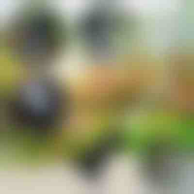 Zahradní nářadí 4 v 1 | VERSAX