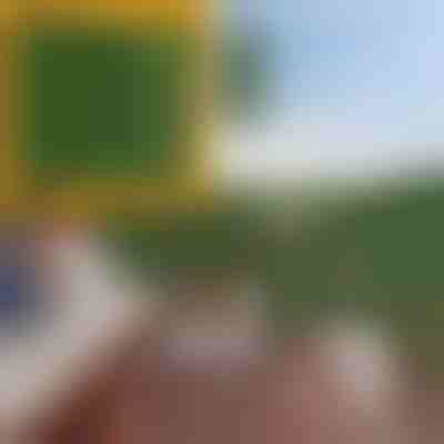 Panel pro ochranu soukromí s umělými listy | LEAFPANEL