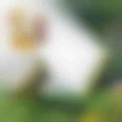 Vícehlavý hadicový zavlažovač | SPRAYMASTER