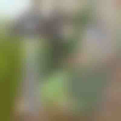 Motyka na zahradu pro snadné odstraňování plevele | GRASSOE