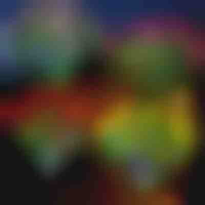 Solární květinová světla | ROSILUME